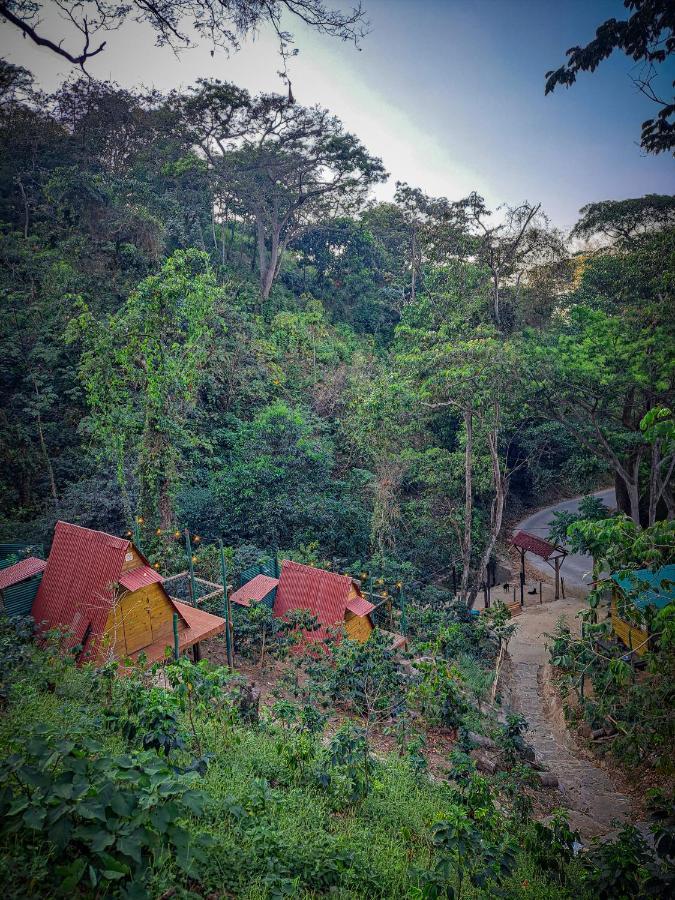 Eco Cabin - Tanoa Minca Hotel Kültér fotó